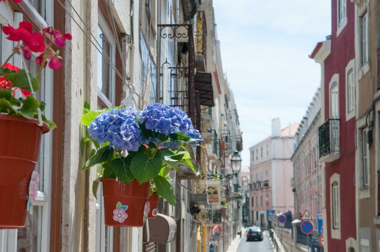 Charming City Centre Apartment Lisboa Ngoại thất bức ảnh